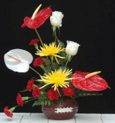 isipha-seentyatyambo 4 uluhlu